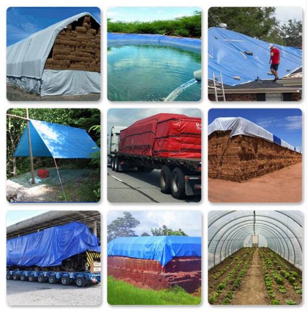 篷布：守護(hù)您的世界，從細(xì)節(jié)開始